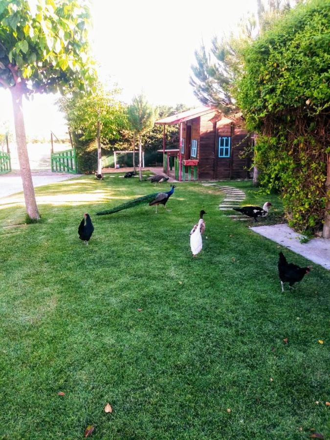 Refugio Con Casitas Infantiles Holiday home